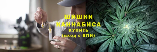 ГАЛЛЮЦИНОГЕННЫЕ ГРИБЫ Каменка