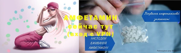 ГАЛЛЮЦИНОГЕННЫЕ ГРИБЫ Каменка