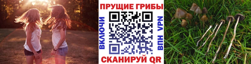 Галлюциногенные грибы мухоморы  Смоленск 