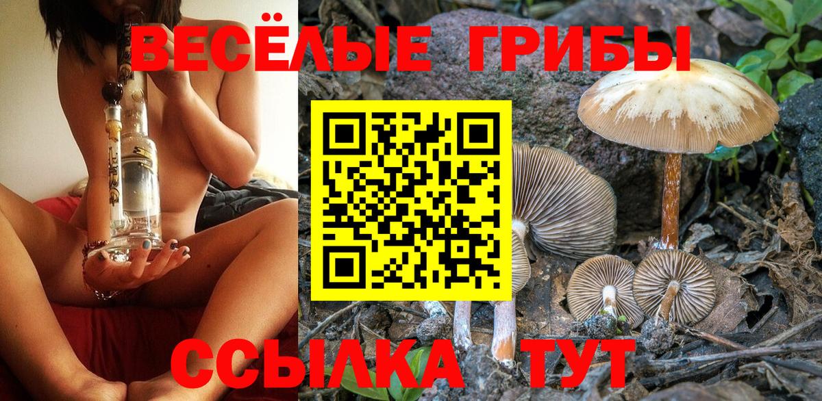 Галлюциногенные грибы MAGIC MUSHROOMS  Галлюциногенные грибы MAGIC MUSHROOMS  Вход с VPN  Смоленск 